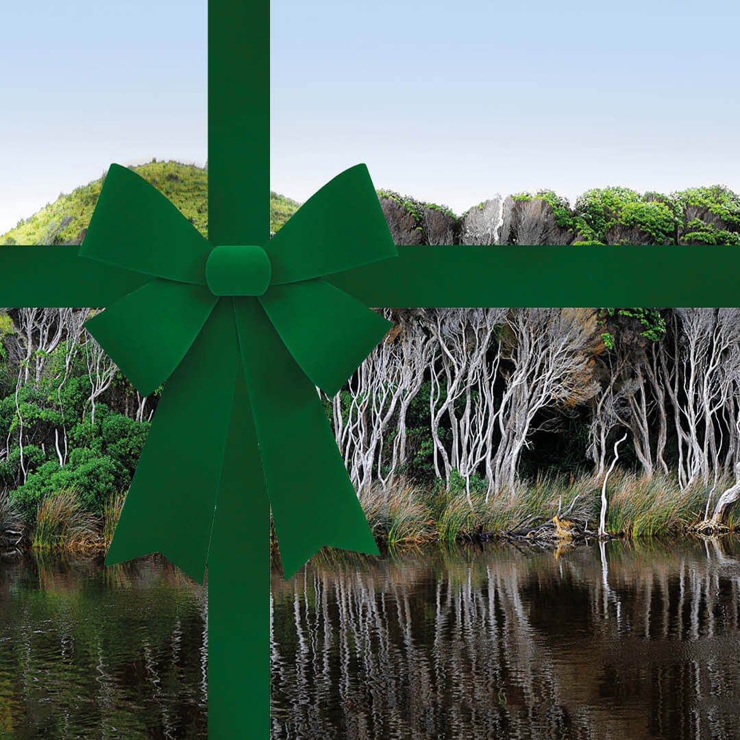 Gift card for Australian Bodycare - Image 3