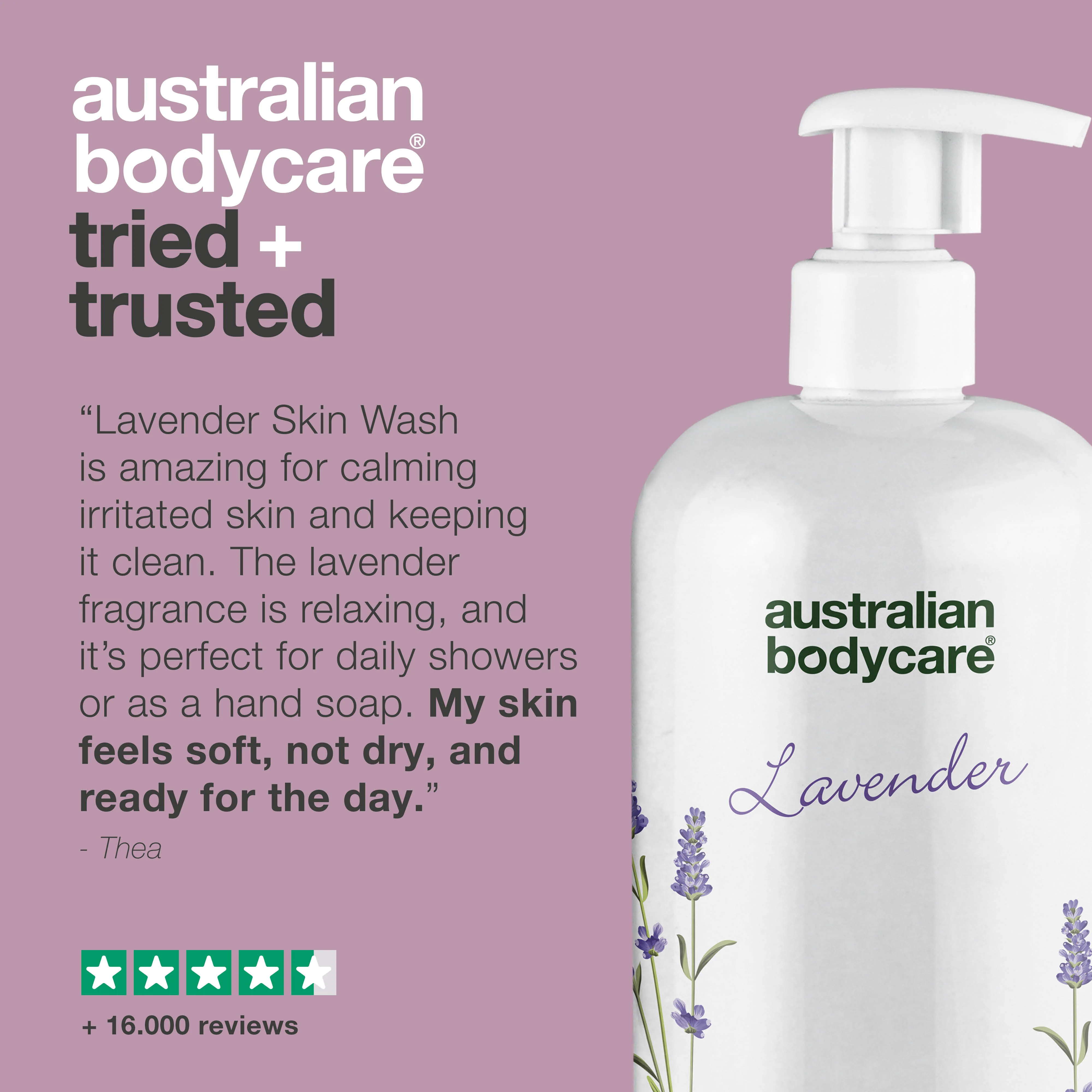 Professional Lavender Skin Wash — Professional Shower gel with Tea Tree Oil and Lavender to wash your body daily - Image 5