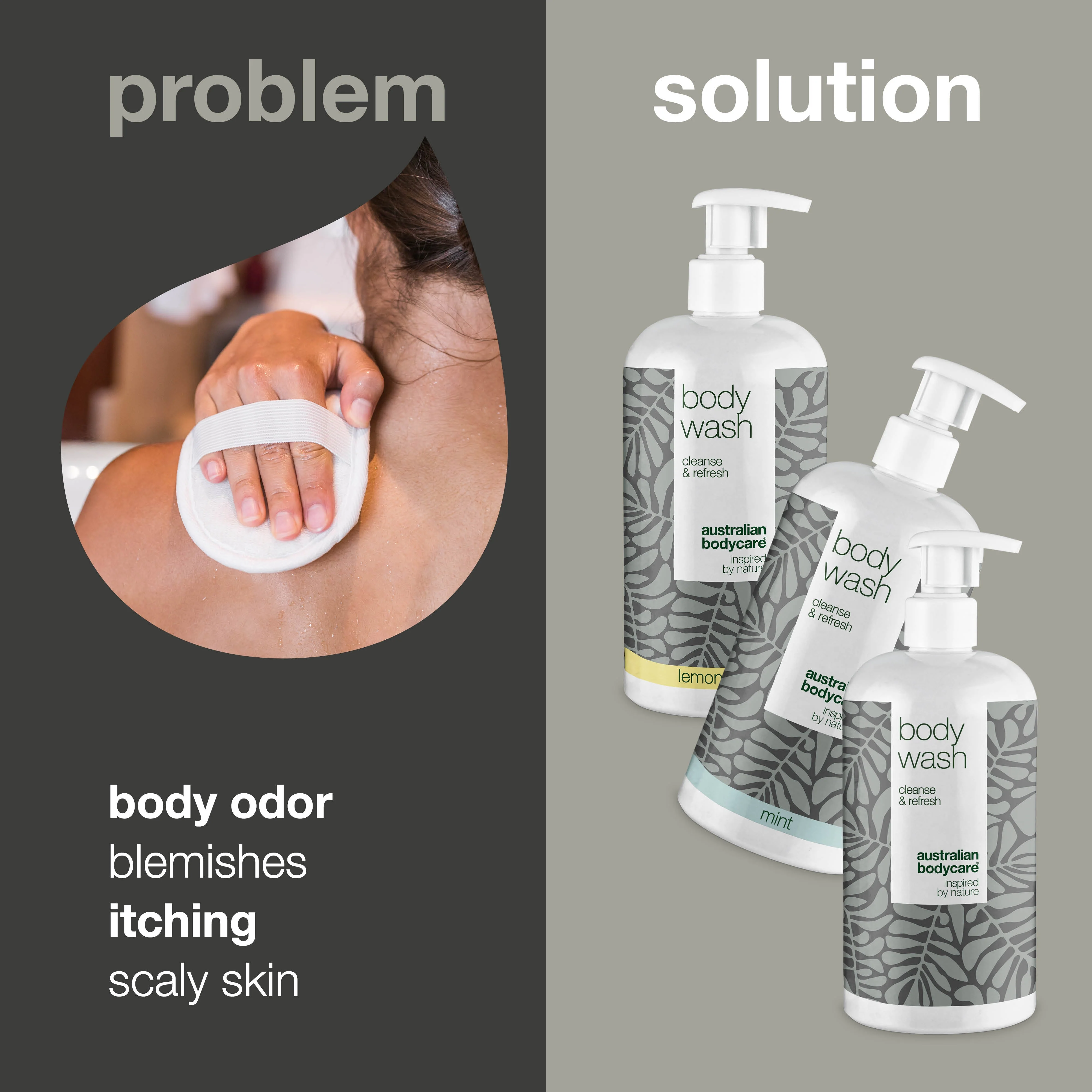 3 Body Wash - offer pack — Package offer with 3 x Body Wash (500 ml): Tea Tree Oil, Lemon Myrtle & Mint - Image 2