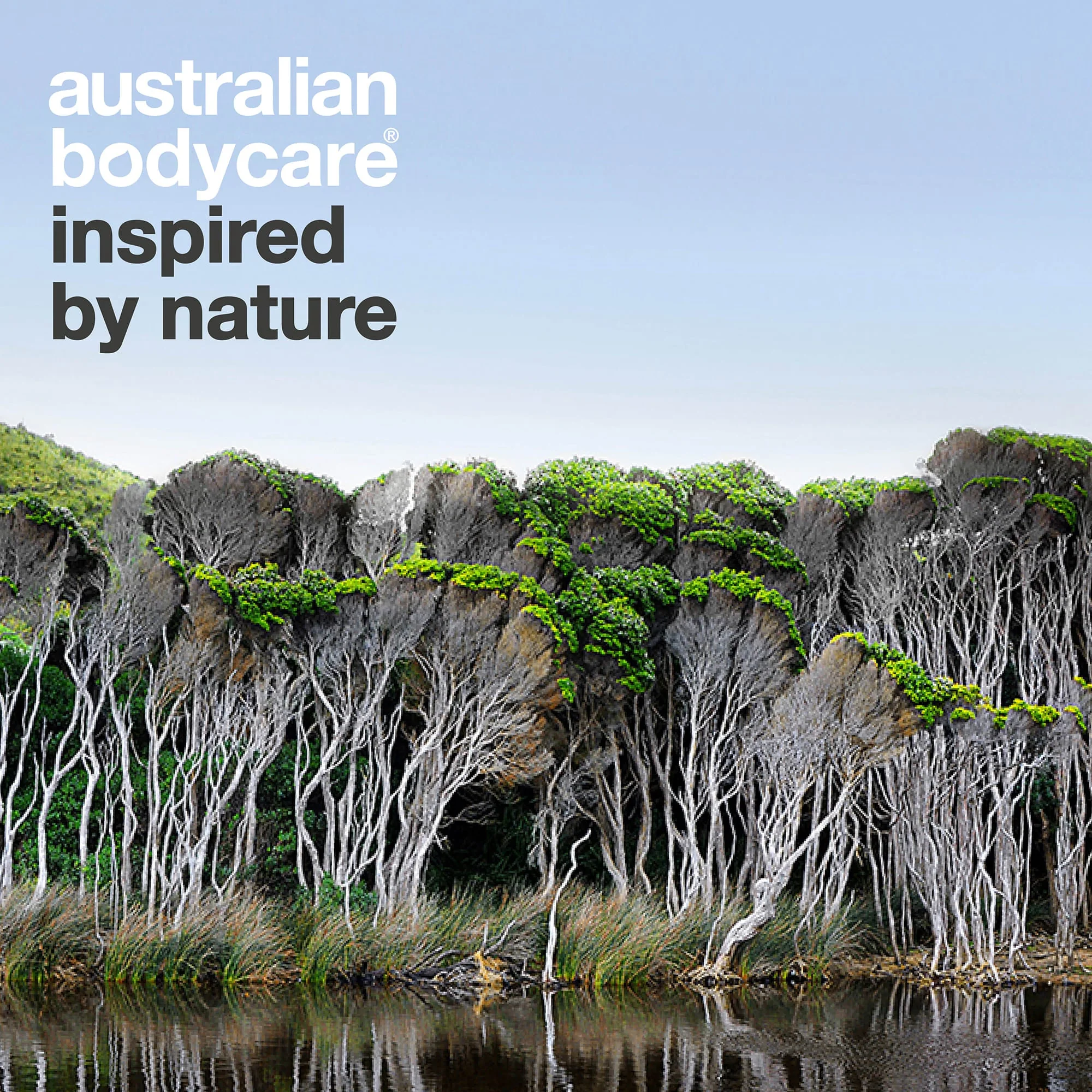 Professional Rose Skin Wash — Deep cleansing shower gel with Tea Tree Oil and Rose Geranium - Image 7